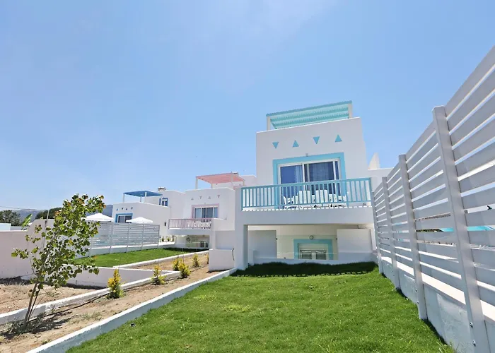 Xenos 7 With A Private Pool Near The Sea *